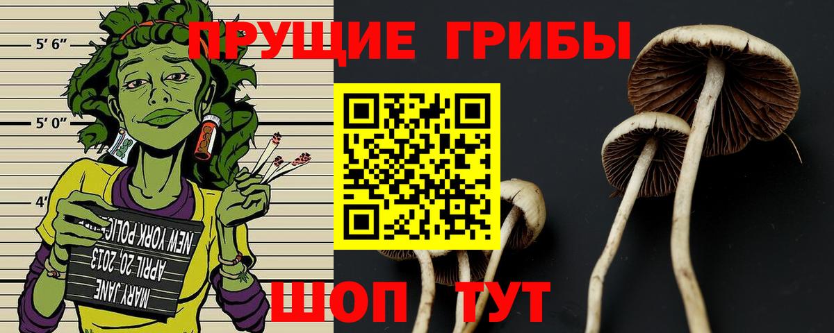 Псилоцибиновые грибы мухоморы Надым